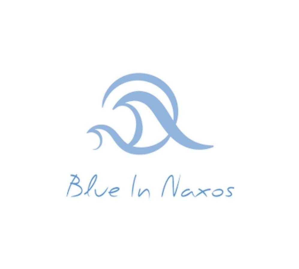 Hotel Blue In Naxos Naxos City Zewnętrze zdjęcie